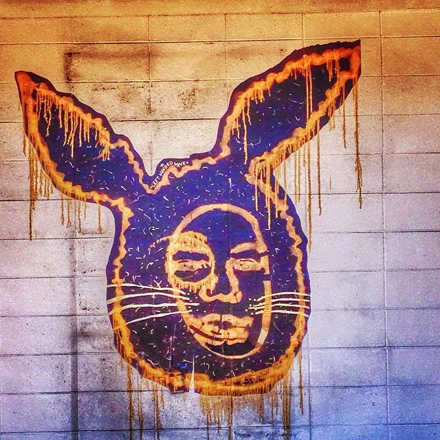 Second Bunny Sighting