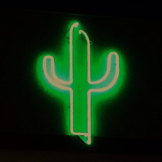 The Neon Cactus